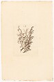 Nouveaux Ornemens D'Arquebuseries, Gilles Demarteau (French, Liège 1722–1776 Paris), Ink on paper, French, Paris