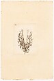 Nouveaux Ornemens D'Arquebuseries, Gilles Demarteau (French, Liège 1722–1776 Paris), Ink on paper, French, Paris
