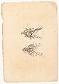 Nouveaux Ornemens D'Arquebuseries, Gilles Demarteau (French, Liège 1722–1776 Paris), Ink on paper, French, Paris
