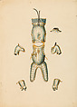 Copies After the "Inventario Illuminado", the Pictorial Inventory of Arms and Armor of Emperor Charles V., Pencil, black ink, watercolor, paper, possibly British