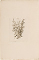 Nouveaux Ornemens D'Arquebuseries, Gilles Demarteau (French, Liège 1722–1776 Paris), Ink on paper, French, Paris