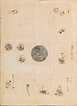 彫鐫画譜 Album of Designs for Metal Carving (<i>Chōsen Gafu</i>), 嵐山常行画 Ranzan Tsuneyuki (Japanese, active mid-19th century), Ink on paper, pasted into a bound volume, Japanese