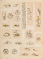 彫鐫画譜 Album of Designs for Metal Carving (<i>Chōsen Gafu</i>), 嵐山常行画 Ranzan Tsuneyuki (Japanese, active mid-19th century), Ink on paper, pasted into a bound volume, Japanese