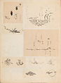 彫鐫画譜 Album of Designs for Metal Carving (<i>Chōsen Gafu</i>), 嵐山常行画 Ranzan Tsuneyuki (Japanese, active mid-19th century), Ink on paper, pasted into a bound volume, Japanese