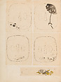 彫鐫画譜 Album of Designs for Metal Carving (<i>Chōsen Gafu</i>), 嵐山常行画 Ranzan Tsuneyuki (Japanese, active mid-19th century), Ink on paper, pasted into a bound volume, Japanese