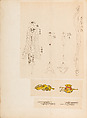 彫鐫画譜 Album of Designs for Metal Carving (<i>Chōsen Gafu</i>), 嵐山常行画 Ranzan Tsuneyuki (Japanese, active mid-19th century), Ink on paper, pasted into a bound volume, Japanese