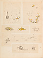 彫鐫画譜 Album of Designs for Metal Carving (<i>Chōsen Gafu</i>), 嵐山常行画 Ranzan Tsuneyuki (Japanese, active mid-19th century), Ink on paper, pasted into a bound volume, Japanese