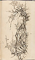 Recto 金工絵 Copy book of Toshiyoshi (also called Kōsō, Seijō, or Toshinaga), 紫原壽良画 Murasakibara Toshiyoshi (Japanese, born 1829), Ink on bound paper, Japanese