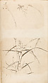 金工絵 Copy book of Toshiyoshi (also called Kōsō, Seijō, or Toshinaga), 紫原壽良画 Murasakibara Toshiyoshi (Japanese, born 1829), Ink on bound paper, Japanese