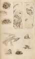金工絵 Copy book of Toshiyoshi (also called Kōsō, Seijō, or Toshinaga), 紫原壽良画 Murasakibara Toshiyoshi (Japanese, born 1829), Ink on bound paper, Japanese