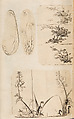 金工絵 Copy book of Toshiyoshi (also called Kōsō, Seijō, or Toshinaga), 紫原壽良画 Murasakibara Toshiyoshi (Japanese, born 1829), Ink on bound paper, Japanese
