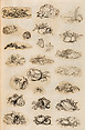 金工絵 Copy book of Toshiyoshi (also called Kōsō, Seijō, or Toshinaga), 紫原壽良画 Murasakibara Toshiyoshi (Japanese, born 1829), Ink on bound paper, Japanese