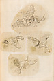 金工絵 Copy book of Toshiyoshi (also called Kōsō, Seijō, or Toshinaga), 紫原壽良画 Murasakibara Toshiyoshi (Japanese, born 1829), Ink on bound paper, Japanese