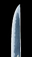 Blade and Mounting for a Short Sword (Wakizashi), Steel, wood, rayskin (samé), lacquer, thread, copper-gold alloy (shakudō), silver, copper-silver alloy (shibuichi), Japanese