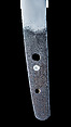 Blade and Mounting for a Dagger (Tantō), Steel, wood,ray skin (samé), paper, laquer, copper-gold alloy (shakudō), silver, Japanese