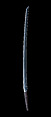 Blade for a Sword (<i>Katana</i>), Gassan Mitsu[...] (probably Gassan Mitsunaga, Japanese, active late 15th–early 16th century), Steel, Japanese