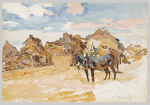 Image for Mules and Ruins