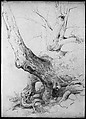 Sketch from Nature, Asher Brown Durand (American, Jefferson, New Jersey 1796–1886 Maplewood, New Jersey), Graphite on gray-green wove paper, American