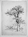 East Hampton, Long Island, Andrew Fisher Bunner (1841–1897), Black ink and graphite traces on off-white wove paper, American