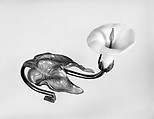 Curtain Tieback, Brass, opaque white glass