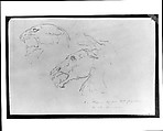 Sketches of Two Animal Skulls, William Rimmer (American (born England), Liverpool 1816–1879 South Milford, Massachusetts), Graphite on light buff-colored wove paper, American