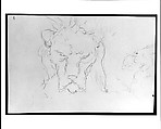 Frontal and Profile Studies of a Lion's Head, William Rimmer (American (born England), Liverpool 1816–1879 South Milford, Massachusetts), Graphite on light buff-colored wove paper, American