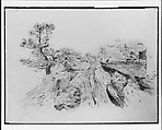 Tree and Rocks, Walter Shirlaw (American, Paisley, Scotland 1838–1909 Madrid), Graphite and wax crayon on off-white wove paper, American