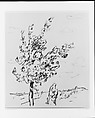 Tree, Allen Tucker (American, Brooklyn, New York 1866–1939 New York), Black chalk pinked on the top on buff paper, American