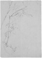 Rose Branch, Study for "Carnation, Lily, Lily, Rose", John Singer Sargent (American, Florence 1856–1925 London), Graphite on grey-green wove paper, American