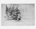 Ausable River, Homer Dodge Martin (American, Albany, New York 1836–1897 St. Paul, Minnesota), Graphite on green wove paper, American