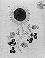Embroidered coverlet, Ruth Culver Coleman (died 1801), Linen and wool, embroidered, American