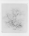 Boy Fishing (from McGuire Scrapbook), James G. Clonney (1812–1867), Graphite on off-white wove paper, American