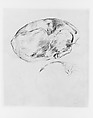 Dog, John Singer Sargent (American, Florence 1856–1925 London), Pen and ink on off-white wove paper, American