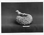 Bird Figure, Parian porcelain, American