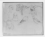 Syrian Goats and Bird, John Singer Sargent (American, Florence 1856–1925 London), Graphite on off-white wove paper, American