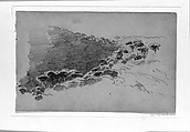 Pines, John Singer Sargent (American, Florence 1856–1925 London), Graphite on gray-green wove paper, American