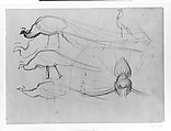 Rose Branch, Study for "Carnation, Lily, Lily, Rose", John Singer Sargent (American, Florence 1856–1925 London), Graphite on grey-green wove paper, American