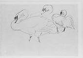 Swans, John Singer Sargent (American, Florence 1856–1925 London), Graphite on off-white wove paper, American