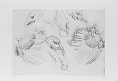 Turkeys, John Singer Sargent (American, Florence 1856–1925 London), Graphite on off-white wove paper, American