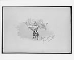 Lilies (from Switzerland 1869 Sketchbook), John Singer Sargent (American, Florence 1856–1925 London), Watercolor and graphite on off-white wove paper, American