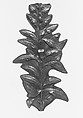 Pattern for applied gold floral motifs on the Magnolia Vase, Tiffany & Co. (1837–present), Alloy of lead, tin, pewter, American