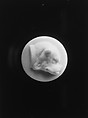 Sleeve Button, Union Porcelain Works (1863–1922), Porcelain, American