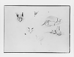 Foxes (from Switzerland 1870 Sketchbook), John Singer Sargent (American, Florence 1856–1925 London), Graphite on off-white wove paper, American