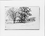 Charles River June 22 '86 (from Sketchbook VII), William Trost Richards (American, Philadelphia, Pennsylvania 1833–1905 Newport, Rhode Island), Graphite on off-white wove paper on off-white wove paper, American