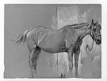 Horse, Fort Stanton, New Mexico, Peter Moran (American (born England), Bolton, Lancashire 1841–1914 Philadelphia, Pennsylvania), Graphite and white gouache on gray-green wove paper, American