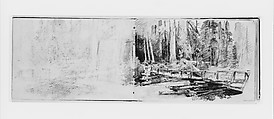 Footbridge in Forest (from Sketchbook X), William Trost Richards  American, Graphite on off-white wove paper, American