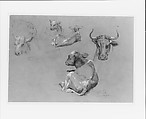 Studies of Cows and Calves, James M. Hart (American (born Scotland), Kilmarnock 1828–1901 New York), Graphite and white chalk on dark gray wove paper, American