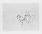Cow, William Sommer (1867–1949), Watercolor and black ink on paper, American