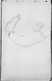 Arm of a Javanese Dancer (from Sketchbook of Javanese Dancers), John Singer Sargent (American, Florence 1856–1925 London), Graphite on off-white wove paper, American