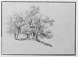 Copse of Trees on a Riverbank (from Sketchbook), Thomas Hewes Hinckley  American, Graphite on buff paper, American